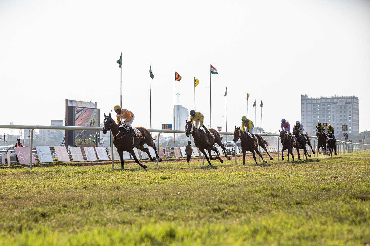 Can I Real Money Horse Racing Betting Review 2027: Bonus, App, Withdrawal Tested